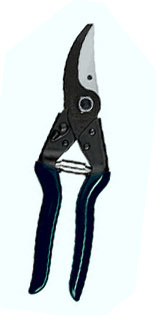 pruning shears